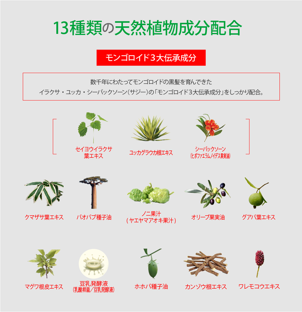 天然植物由来成分