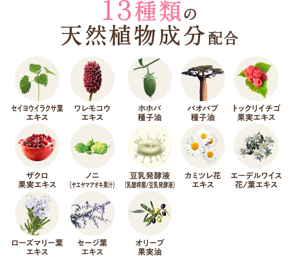 13種類の天然植物成分配合