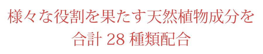 様々な役割を果たす天然植物成分を28種類配合